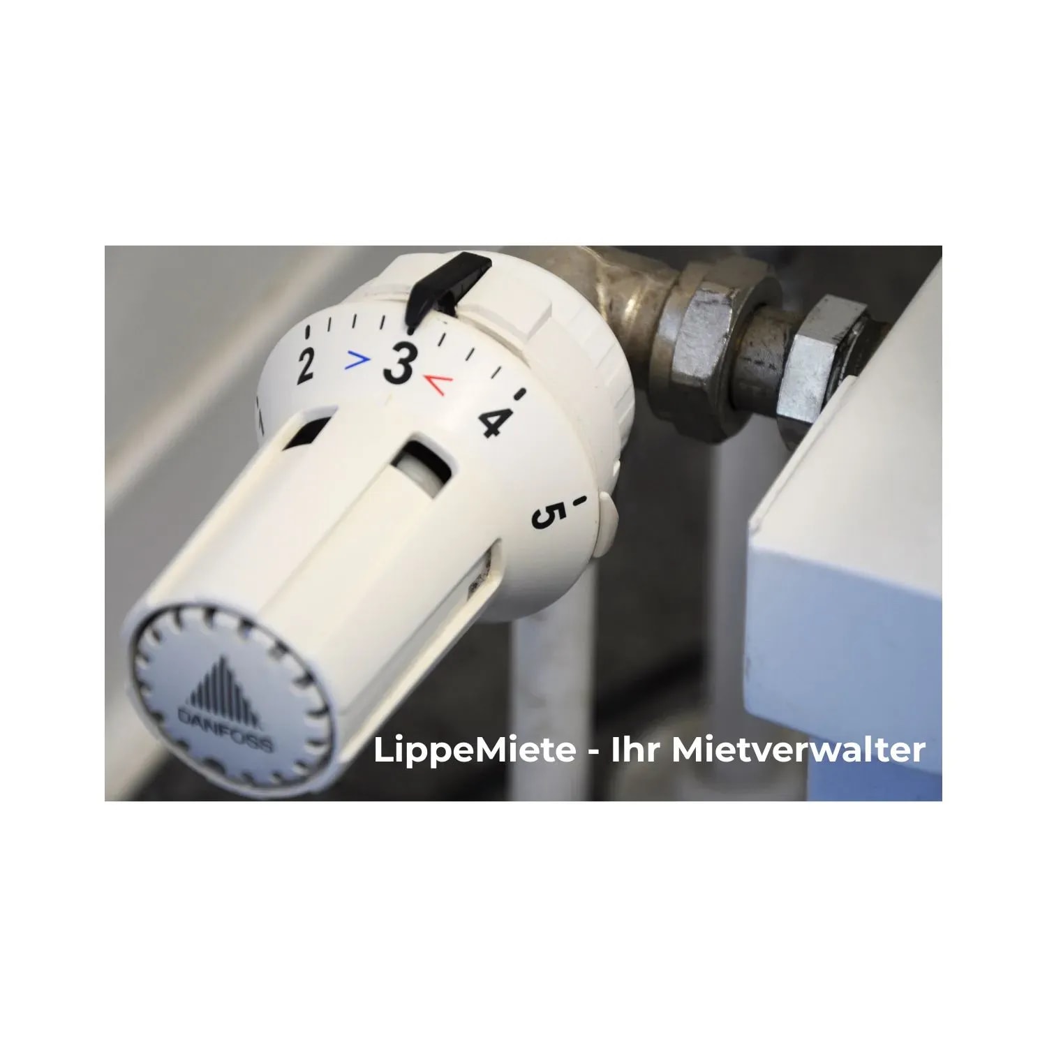 Heizkostenabrechnung - Rechte und Pflichten für Vermieter